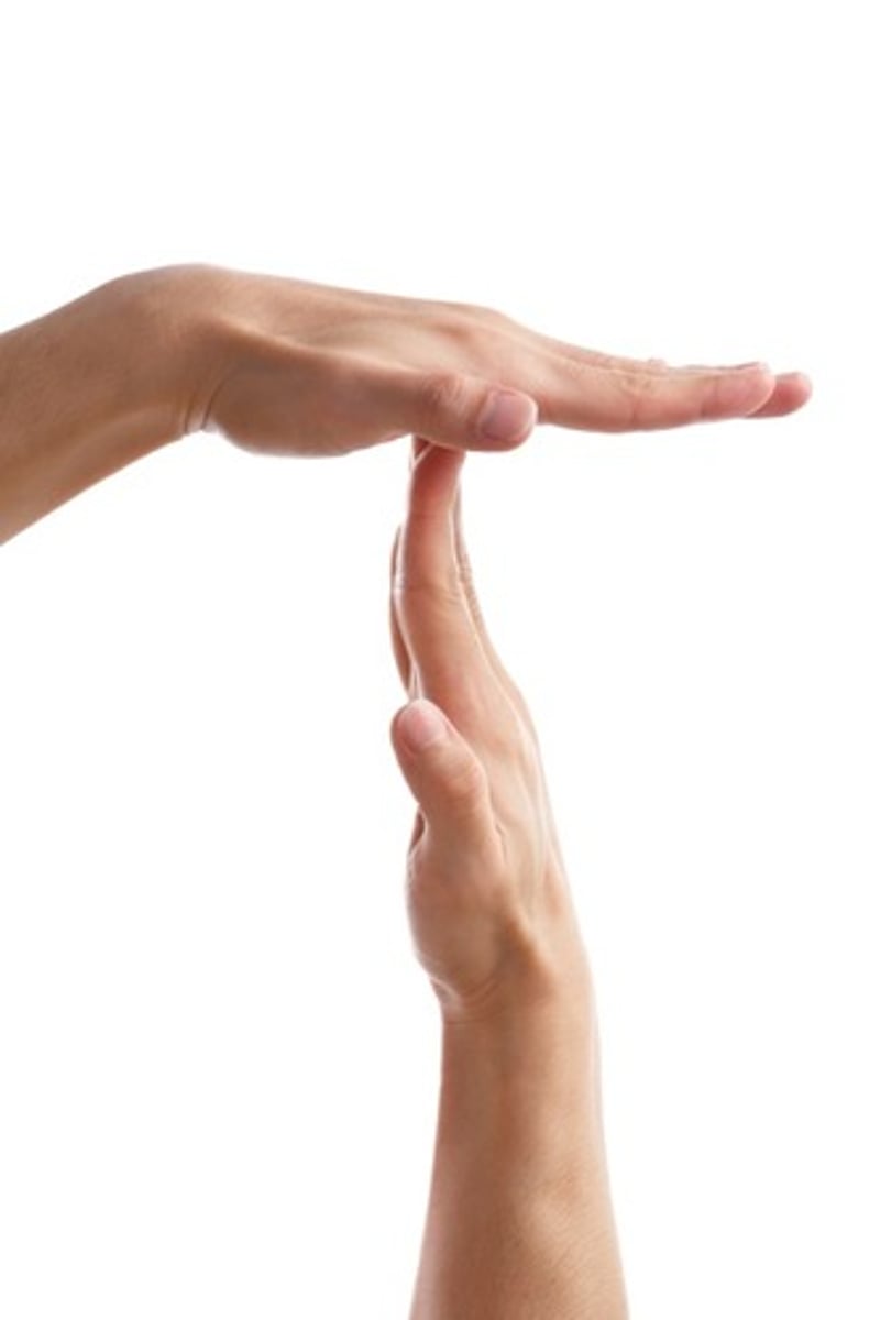 <p>(noun) a period of relief or rest</p><p>S: interval, intermission, lull, breather</p>