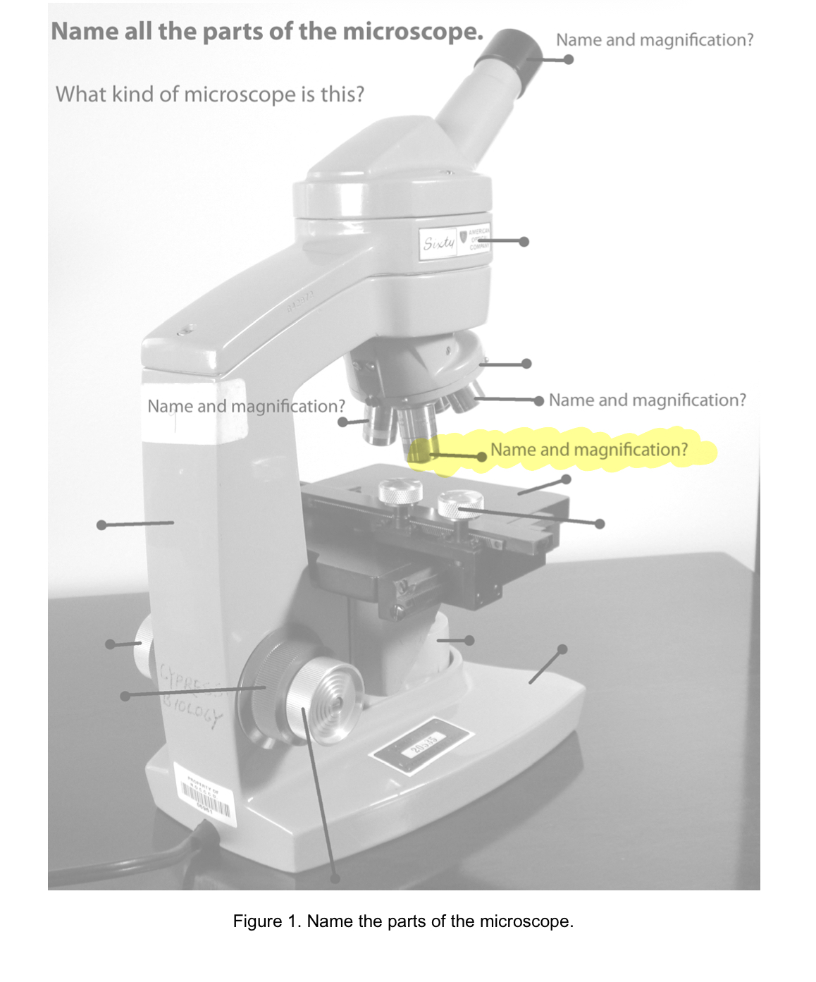 term image