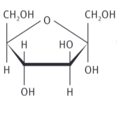 <p>ketose</p>