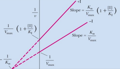 <p>What inhibition is shown? What makes you say that (distinct characteristic in this graph which is lineweaver burk)?</p>