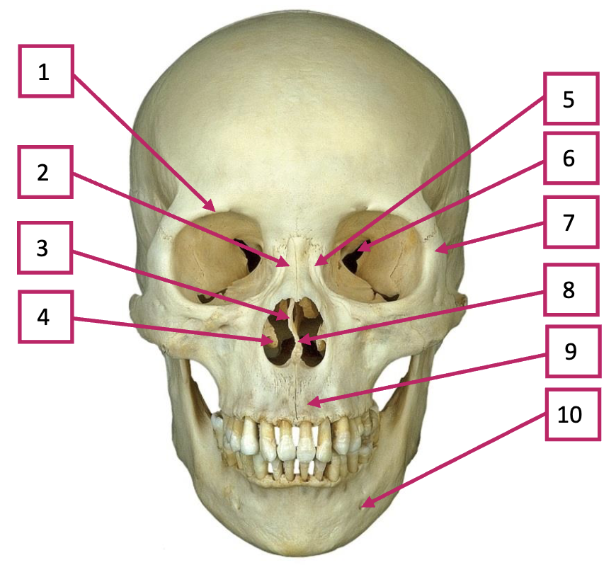 <p>7</p>