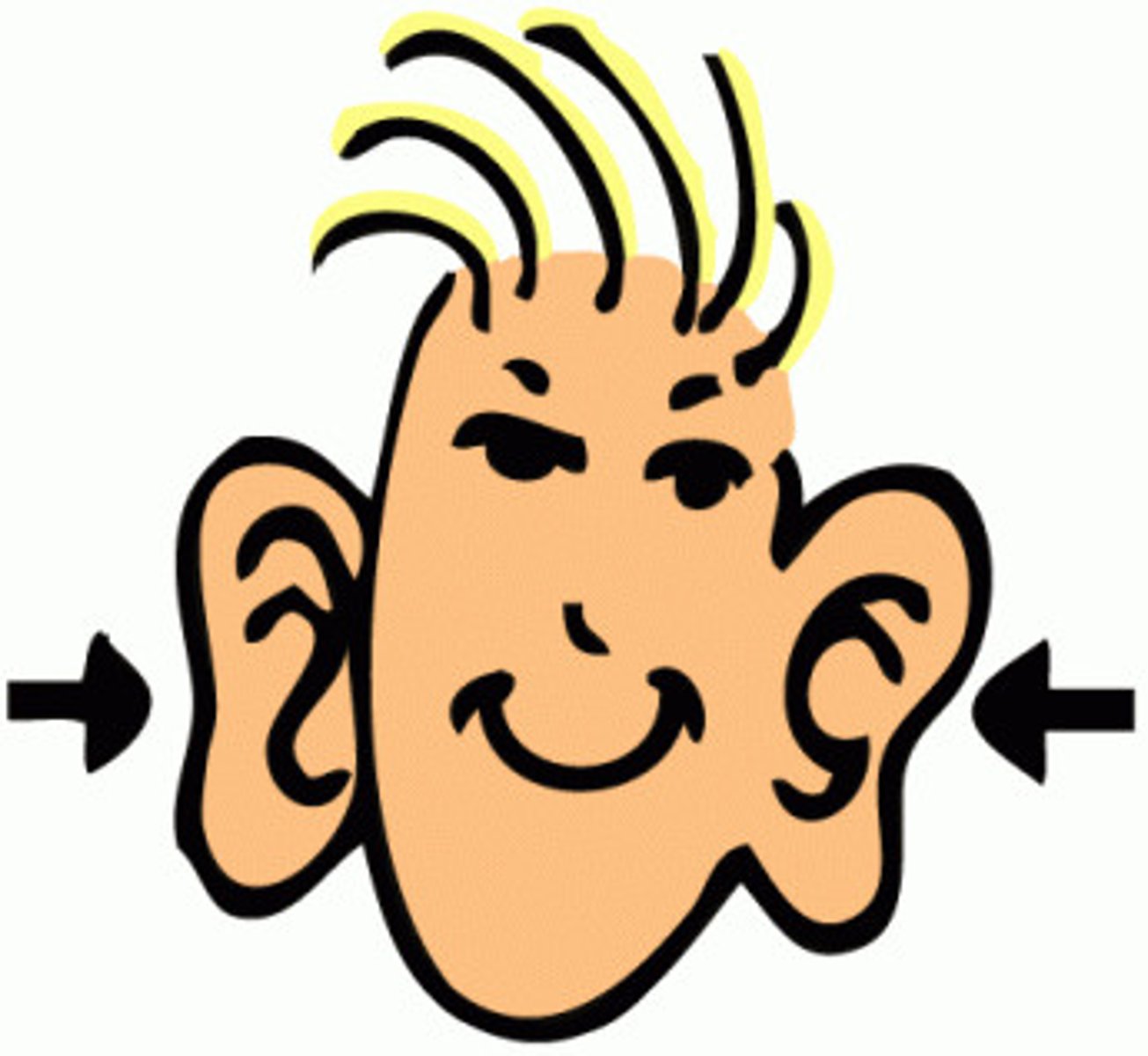 <p>an ear</p>