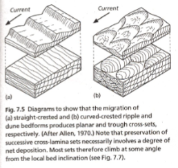 <p>current ripples - form in response to unidirectional flow (low velocity)</p><p>wave ripples - a flow moving back and forth</p>