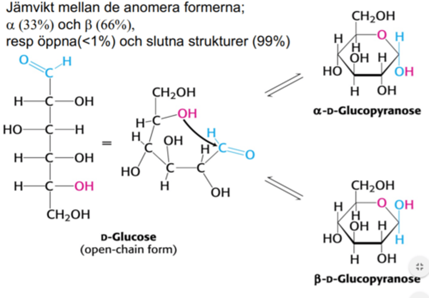 <p>En jämviktsreaktion uppstår där monosackariden stänger sig i alfa- eller betaform (går från linjär till cirkulär)</p><p>- En av hydroxylgrupperna binder kovalent till karbonylkolet genom nukleofil attack</p><p>- Cirkulär formation är vanligast!</p>