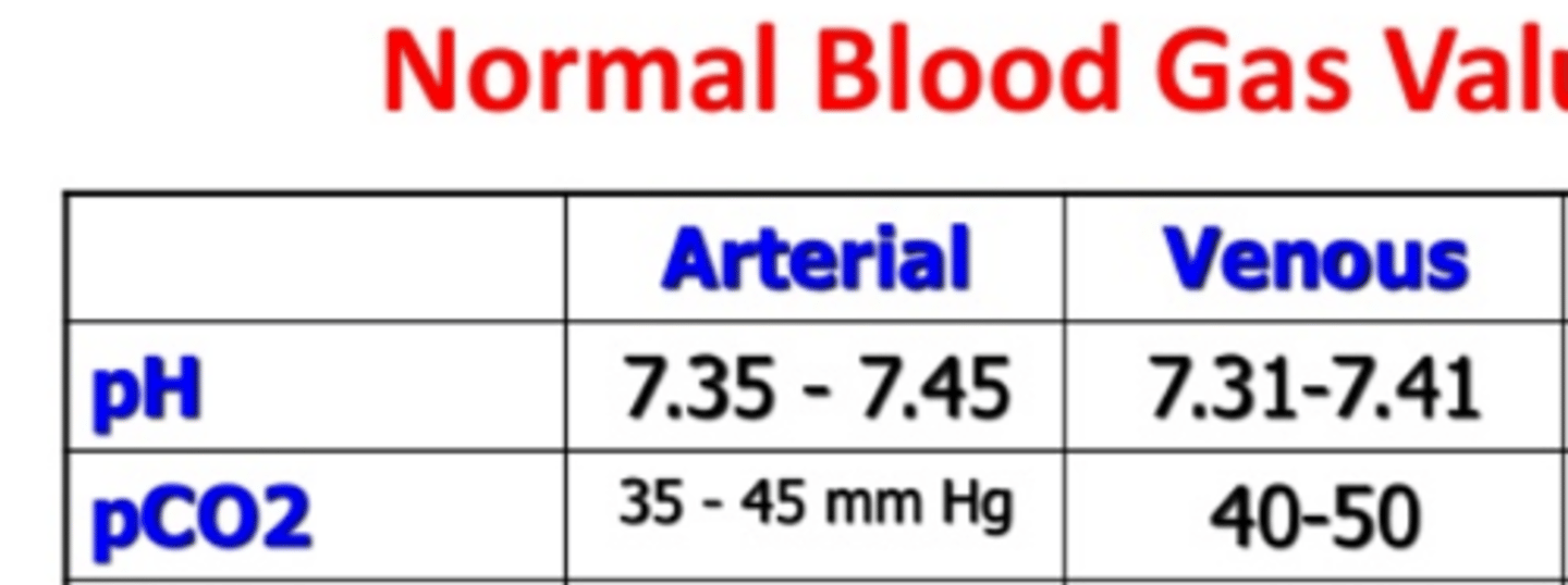 <p>Permissive hypercapnia (partial pressure of carbon dioxide [PCO2] 50-55 mm Hg) is acceptable to</p><p>optimize tidal volume strategy.</p>