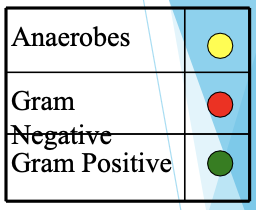 <p>Coverage: G+ (no staph coverage), anaerobic activity (-Bacteroides), some Gram - aerobes</p><p>Drug of choice: Enterococcus, Listeria, endocarditis prophylaxis, URTI, CAP</p><p>Rxn: anticoags → prolonged PT, dec effectiveness of oral contraceptives</p>