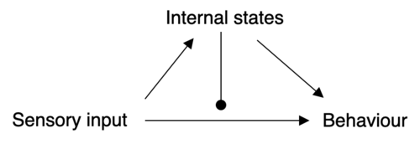 <p>Behaviour is influenced by _________ _______</p>
