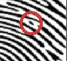 <p>what is marked in the picture</p>
