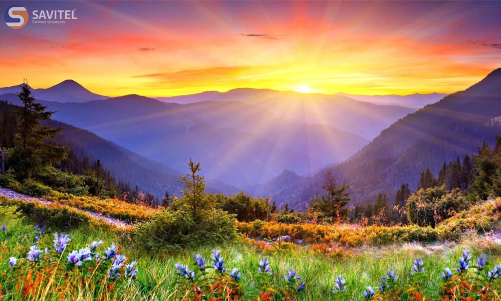 <p>High-resolution image/photo/video/display/camera</p>