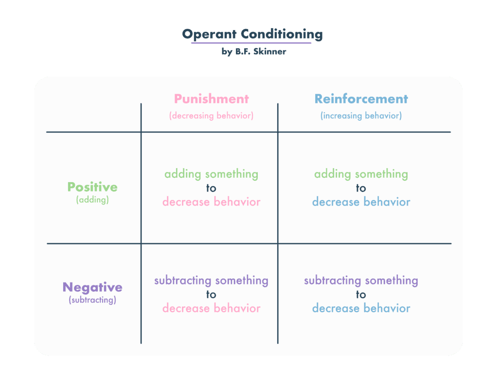 <p><span>B.F. </span>Skinner is a key figure in behaviorism and is considered the father of operant conditioning. He is known for using rewards and reinforcements to influence behavior, emphasizing operant conditioning and observable actions over internal processes. The "Skinner box" is a setup used in animal experiments. An animal is isolated in a box equipped with levers or other devices in this environment. The animal learns that pressing a lever or displaying specific behaviors can lead to rewards or punishments. Skinner's experiments established how behavior is influenced by rewards, noting fixed-ratio and variable reinforcement schedules, which have implications for addiction and behavior persistence.</p>