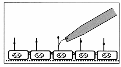 knowt flashcard image