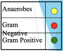 <p>Coverage: G+ (no staph coverage), anaerobic activity (-bacteroides), no activity against aerobic G-</p><p>Monitoring: signs and symptoms of anaphylaxis</p>