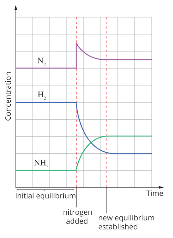 <ul><li><p>The reaction shifts to the <strong>‘right’</strong> and favours the <strong>forward reaction</strong> to consume reactants/increase products</p></li><li><p>Eg. N2 + 3H2 —&gt; 2NH3: the new concentration of N2 is still higher than its original concentration, the change was <strong>partially opposed</strong>.</p></li><li><p>K does not change with <strong>concentration </strong></p></li></ul><p></p>