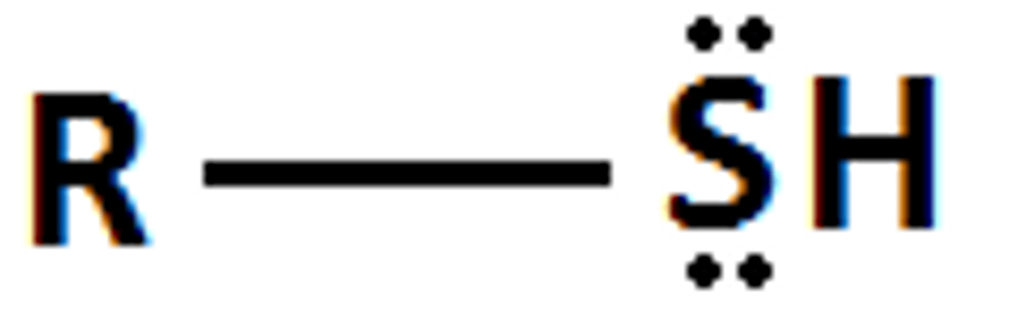 <p>A compound containing a sulfur atom bonded to a hydrogen atom and to a carbon atom, often represented as R-SH.</p>