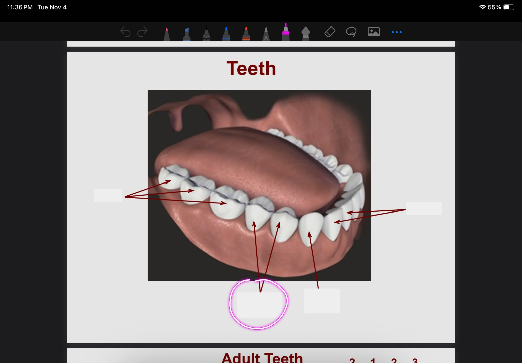 <p>What is this?</p>
