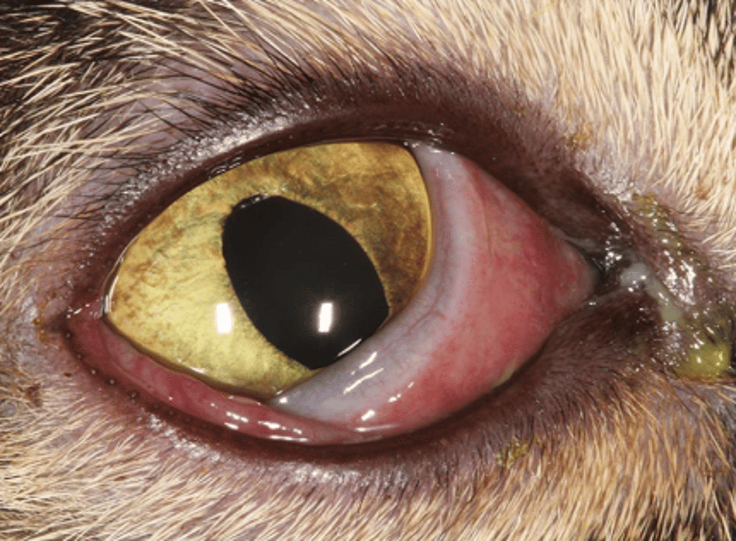 <p>what is wrong here?</p>