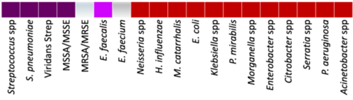 <p>• Anaerobes: +/+ (oral anaerobes/gut anaerobes)</p><p>• Miscellaneous: </p><p>- Stable against ESBLs and AmpC </p><p>- Activity against Mycobacteria</p><p>- Inactive against S. maltophilia (causes outbreaks)</p><p>• Used last-line since there is resistance forming against this drug</p><p>• Coverage - Covers almost everything except MRSA and E. faceium, and low coverage for E. faecalis + works on gut anaerobes</p>
