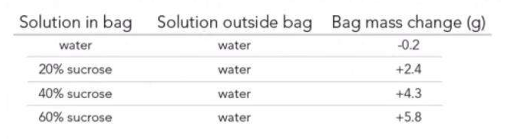 <p>In the following data table of an experiment carried out 4 degrees Celsius (39.2 farenheits) over 4 hours. Which of the following options represents the dependent variable?&nbsp;</p>