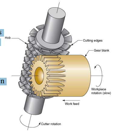 <p>Hob has a slight helix and its rotation is coordinated with much slower rotation of the gear blank.</p><p>Special milling machines (called hobbing machines) accomplish the relative speed and feed motions between cutter and gear blank</p>