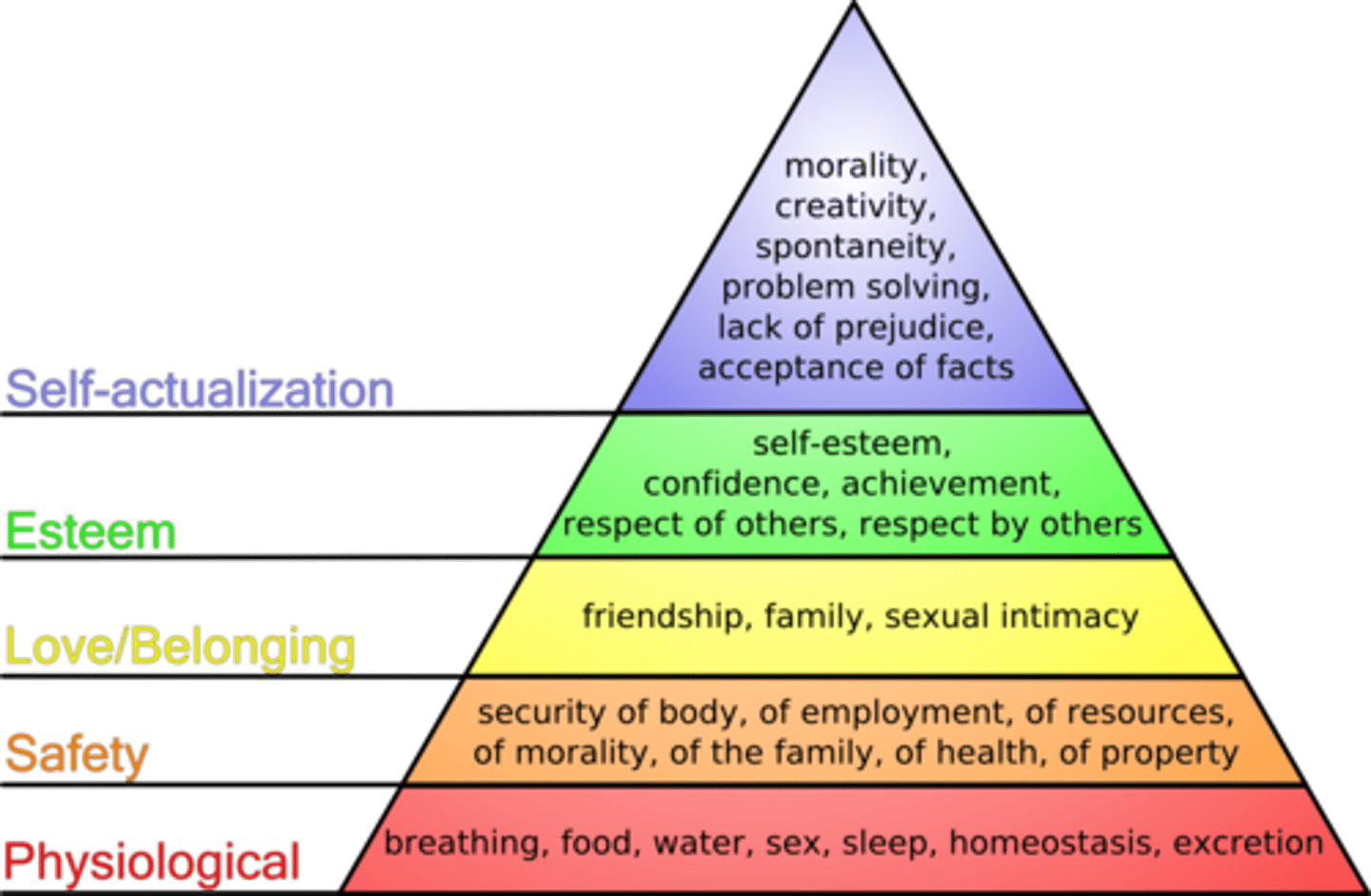 knowt flashcard image