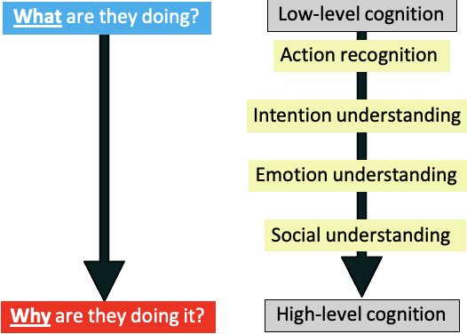 <p><span><span>Disgust specific neural overlap may indicate MNS involvement in higher-level cognitive processors</span></span></p><p>&nbsp;</p><p>The social understanding notion led to stimulation theory </p>
