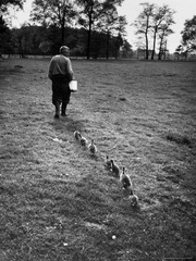 Nobel Prize-winning researcher famous for his imprinting studies, and for advocating the study of animals in their natural environments
