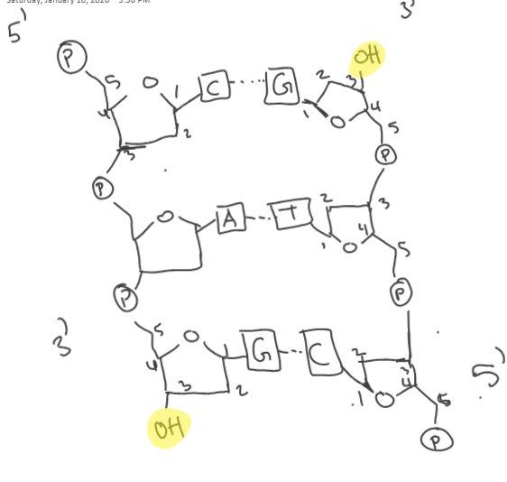 <p>on onenote too</p><p></p>