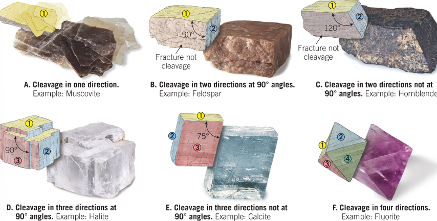 <p>The tendency of mineral to break along plans of weak bonding.</p><p>Described as the number of cleavage directions/planes and the angles at which they meet. e.g. two planes at 90 degrees</p>