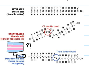 <p>saturated, unsaturated, and trans fats</p>