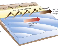 <p>the movement of sediment by waves and currents along a coastline.</p>