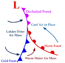 <ol><li><p>warm air is lifted as cyclone evolves (less warm area)</p><p>→ cyclone intensified circulation </p><p>→ cold air expands, </p><p>→ dry air becomes more wrapped up</p></li><li><p>Surface fronts wrap up to form occluded front</p><p>→ cold + warm front merged</p></li></ol>