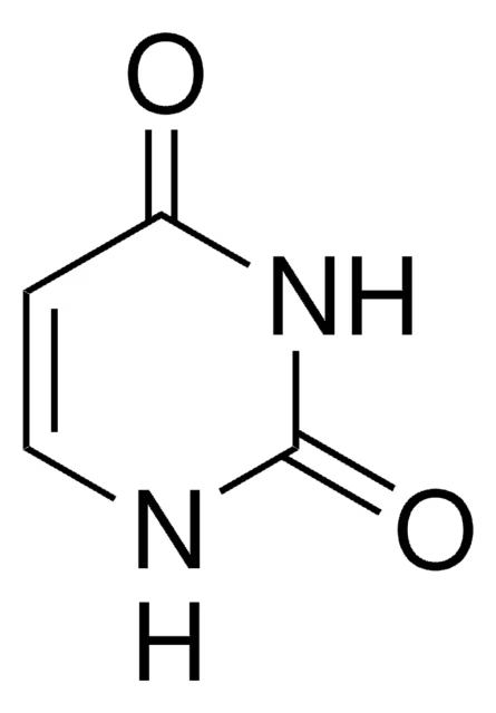 <ul><li><p>pyrimidine</p></li><li><p>thymine zonder methyl</p></li></ul><p></p>