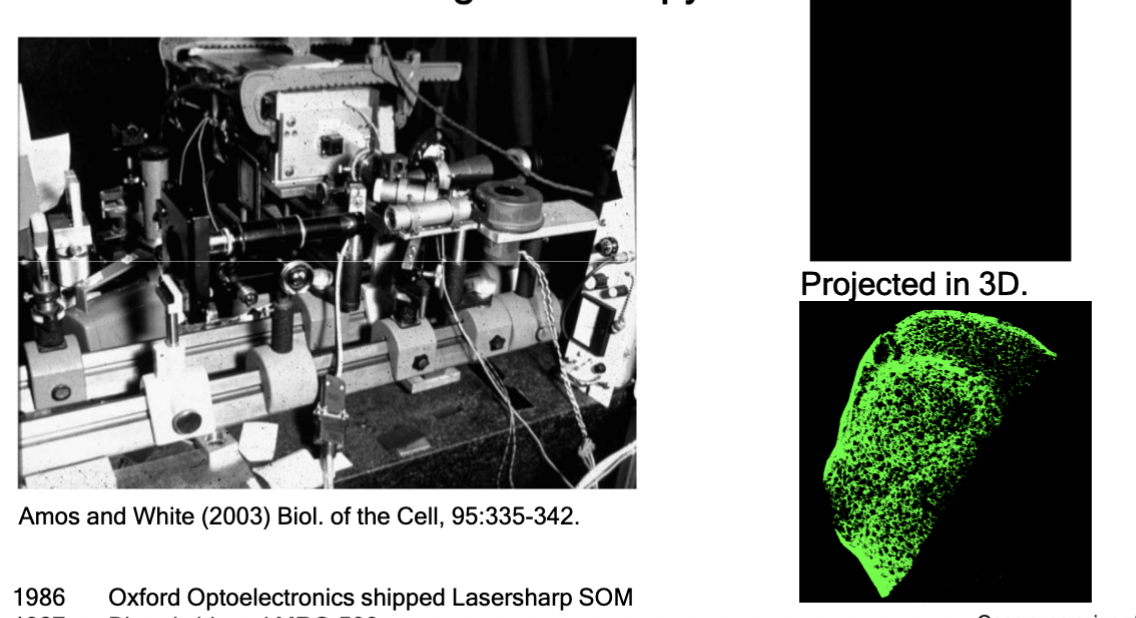 <p>A fluorescence microscope that could collect information from a single "optical-slice", ignoring all other light. Patented in 1961 by Marvin Minsky to study the neuronal basis of cognition</p>