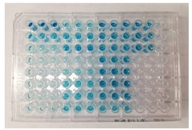 <p>Enzyme-linked immunoassay (ELISA)</p>