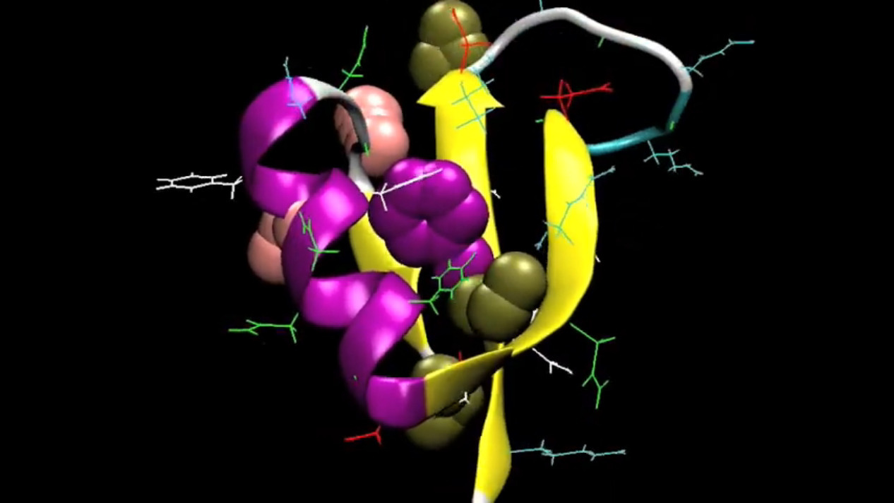 <p>Conformation</p>