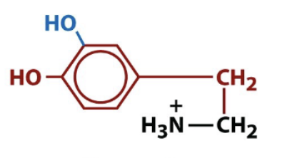 <p>biologically active amino acid derivative </p>