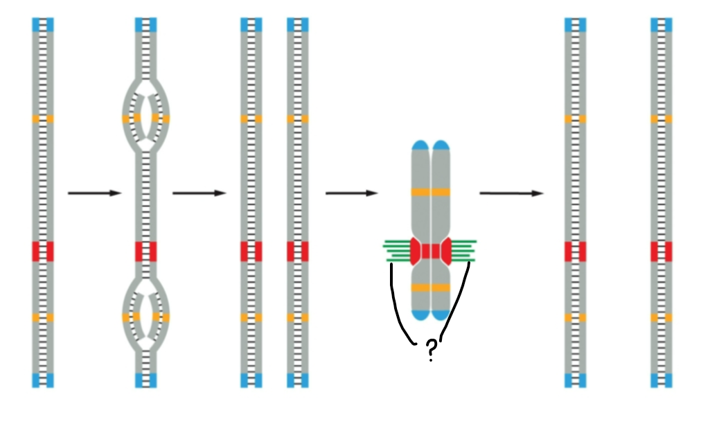 <p><span><span>What is being indicated?</span></span></p>