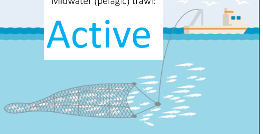 <p>active</p>