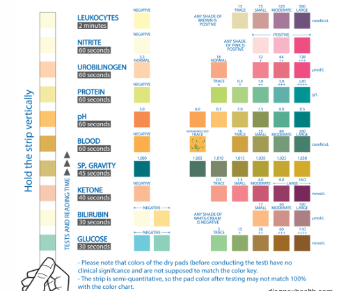 <p>-specific gravity</p><p>-pH</p><p>-leukocytes</p><p>-blood/hemoglobin</p><p>-nitrites</p><p>-ketones</p><p>-bilirubin</p><p>-urobilinogen</p><p>-glucose</p><p>-protein</p>