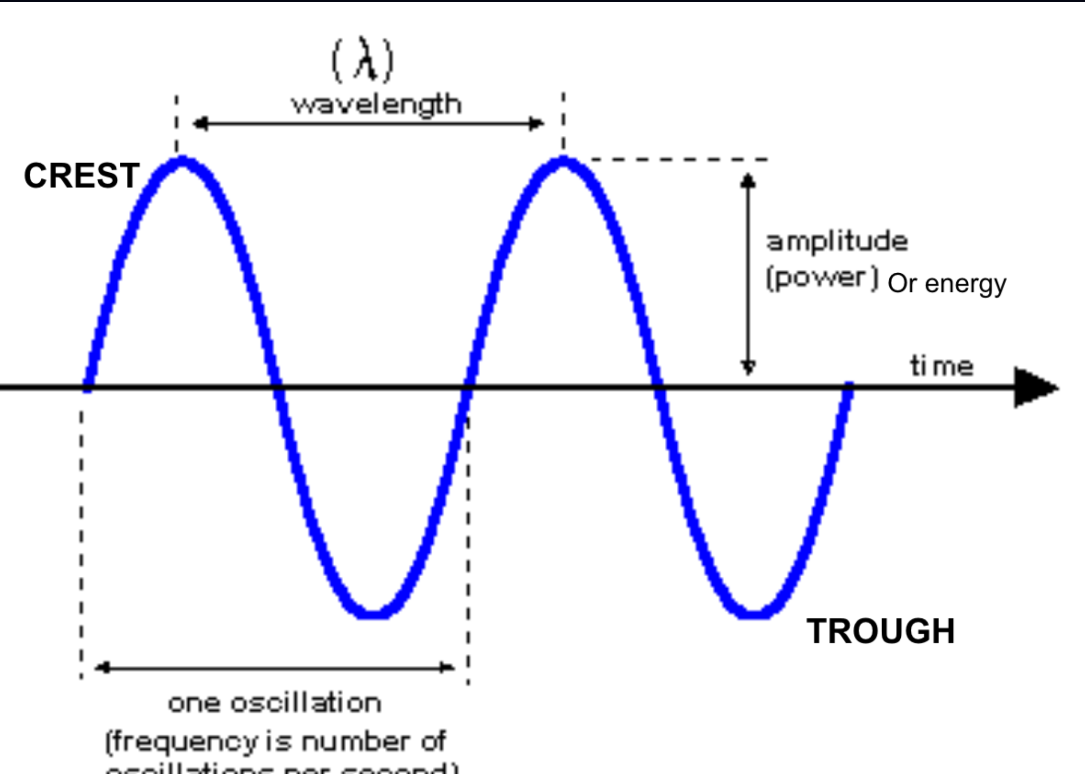 <p>Wavelength</p><p>Frequency</p><p>Amplitude</p>