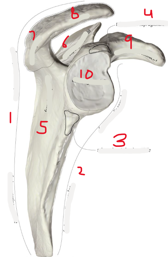 <p>4</p>