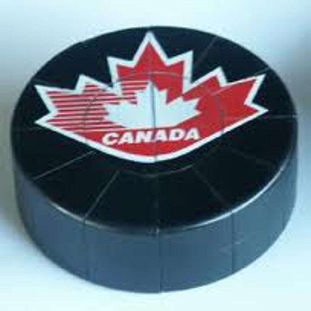 <p>the puck</p>
