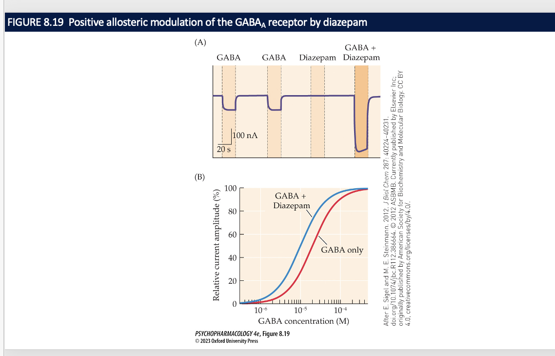 * drug 
* Benzodiazepine
* increases the effect of GABA on a receptor which means that the drug alone without GABA has no effect 
* positive allosteric modulator 