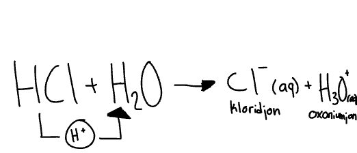 <p>EX,</p><p><strong>Saltsyras (HCl)</strong> - <strong>väteklorid</strong> -</p><ul><li><p>När det <strong>protolyserar</strong> (avger protoner) och ragerar med vatten så skapas<strong> laddade joner</strong>.</p></li><li><p>De laddade jonerna är:</p><ul><li><p> - <strong>kloridjon</strong></p></li><li><p>+ <strong>oxoniumjon</strong></p></li></ul></li></ul>