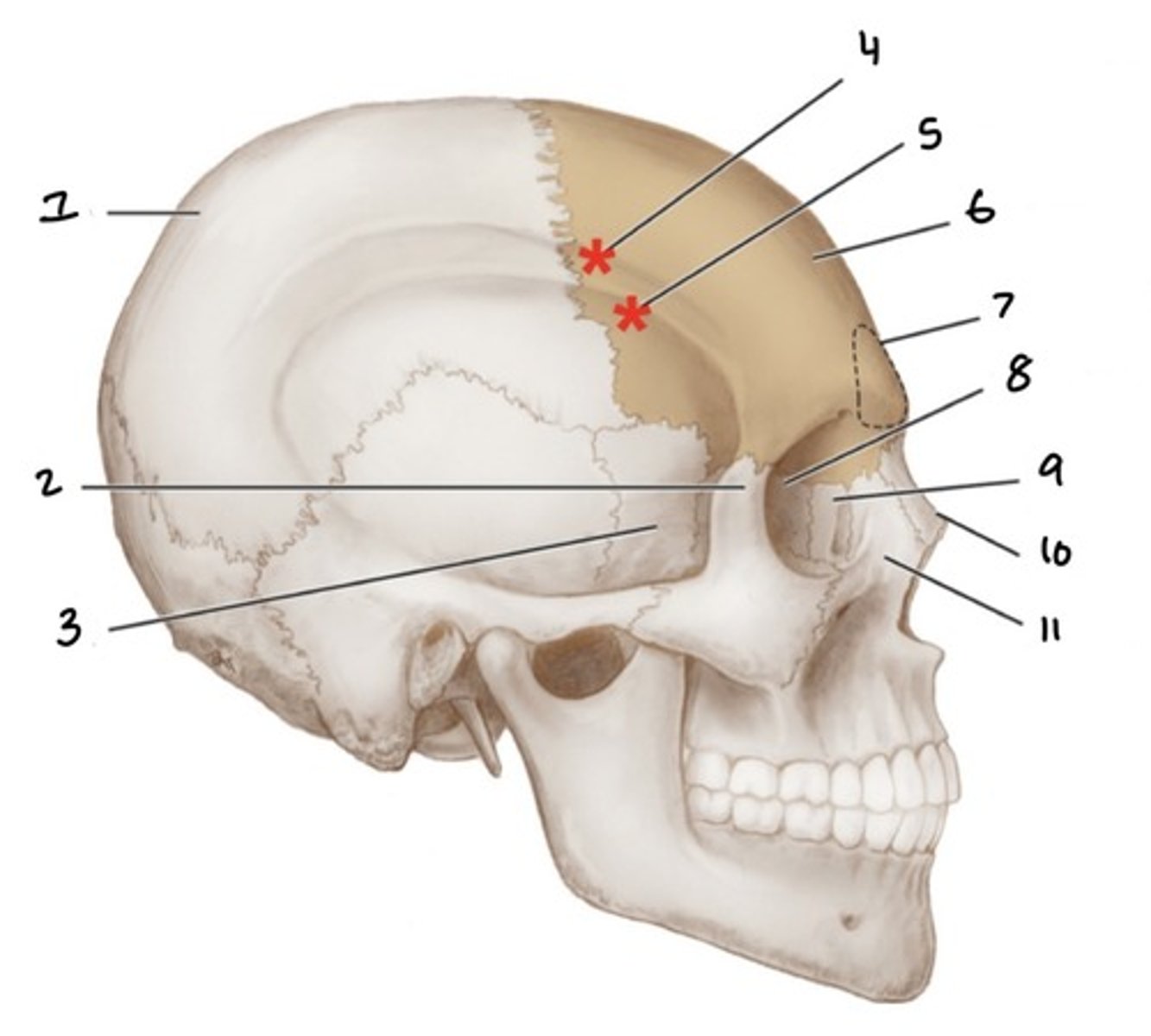 <p>4</p>