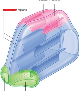<p>What is the blue region</p>