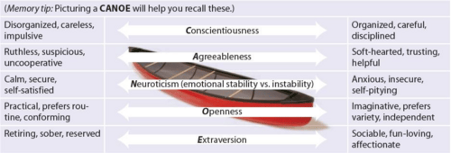 <p>Conscientiousness, Agreeableness, Neuroticism, Openness, Extraversion (CANOE).</p>
