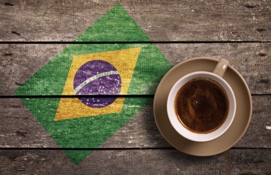 <p>What was the major export of Brazil?</p>