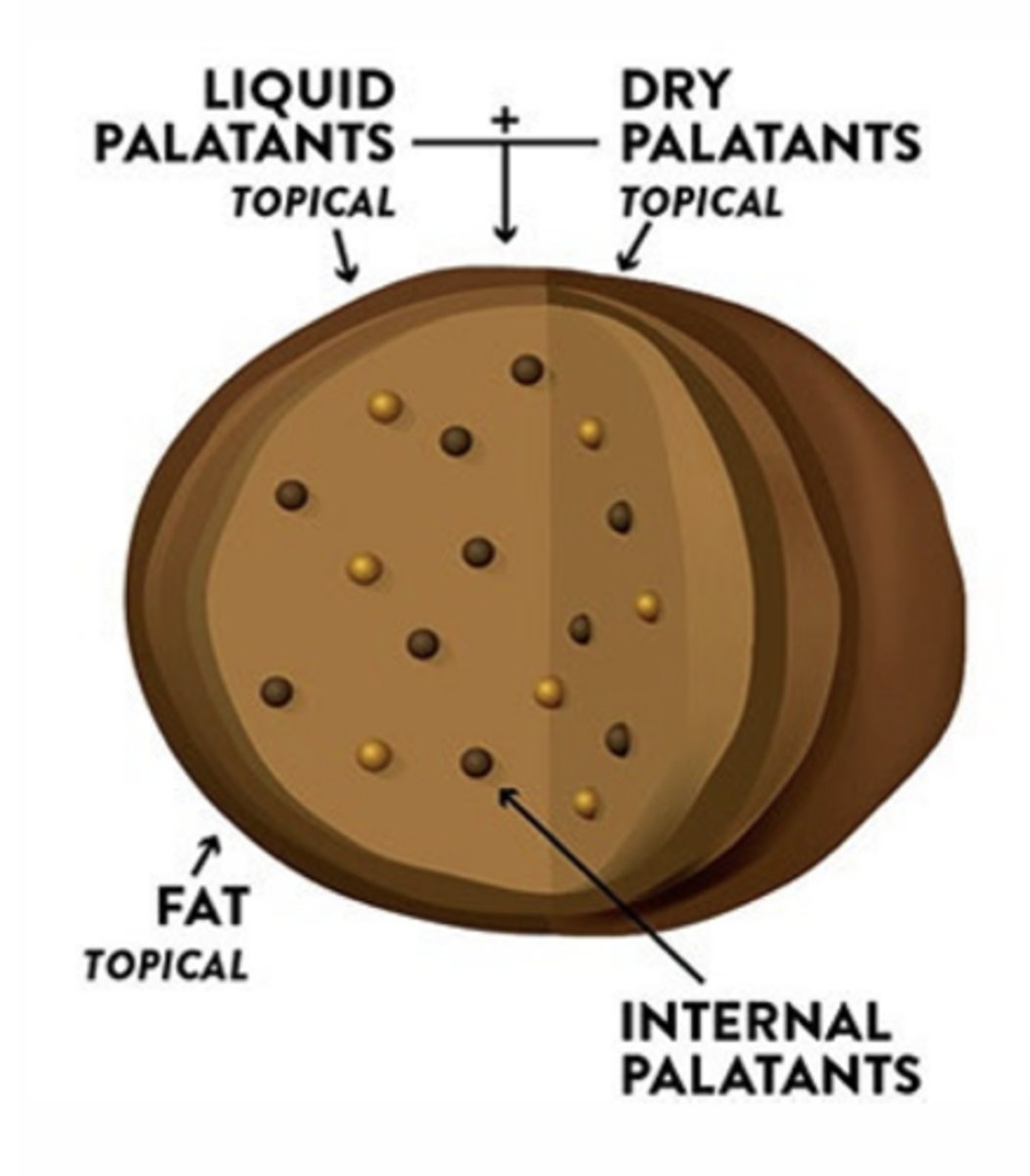 <p>___________ are commonly coated on dry pet food to increase energy density and to enhance palatability. This occurs after the established kill step</p>