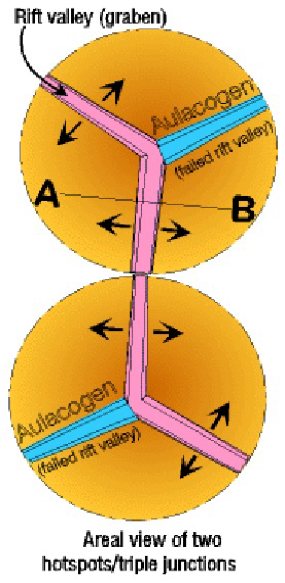 <ul><li><p>doming creates a 3-way fracture</p></li><li><p>2 of 3 proto-ridges will normally become oceans</p></li><li><p>failed arm is an <strong>aulacogen</strong>, a weak zone often reactivated later </p></li></ul><p></p>